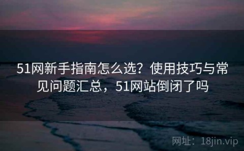 51网新手指南怎么选？使用技巧与常见问题汇总，51网站倒闭了吗