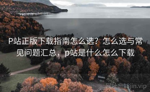 P站正版下载指南怎么选？怎么选与常见问题汇总，p站是什么怎么下载