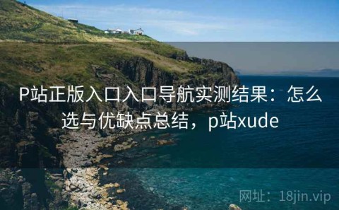 P站正版入口入口导航实测结果：怎么选与优缺点总结，p站xude