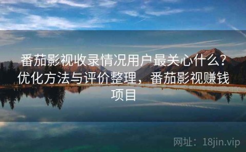 番茄影视收录情况用户最关心什么？优化方法与评价整理，番茄影视赚钱项目