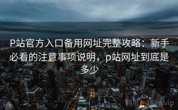 P站官方入口备用网址完整攻略：新手必看的注意事项说明，p站网址到底是多少