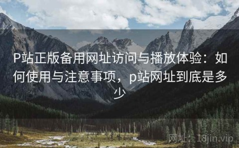 P站正版备用网址访问与播放体验：如何使用与注意事项，p站网址到底是多少
