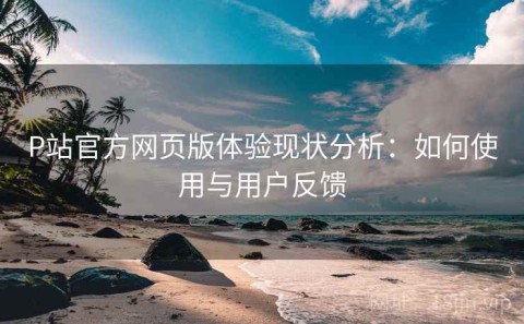 P站官方网页版体验现状分析：如何使用与用户反馈