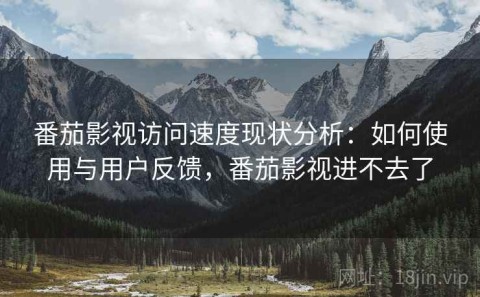 番茄影视访问速度现状分析：如何使用与用户反馈，番茄影视进不去了