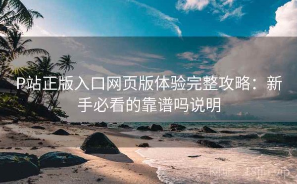 P站正版入口网页版体验完整攻略：新手必看的靠谱吗说明