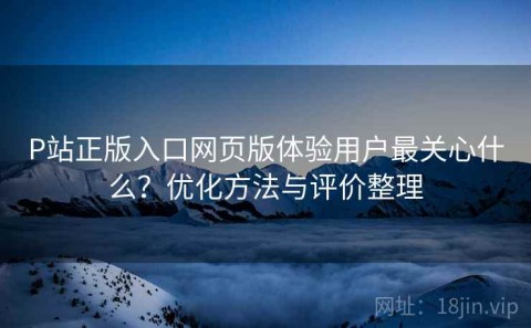 P站正版入口网页版体验用户最关心什么？优化方法与评价整理