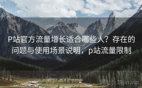 P站官方流量增长适合哪些人？存在的问题与使用场景说明，p站流量限制