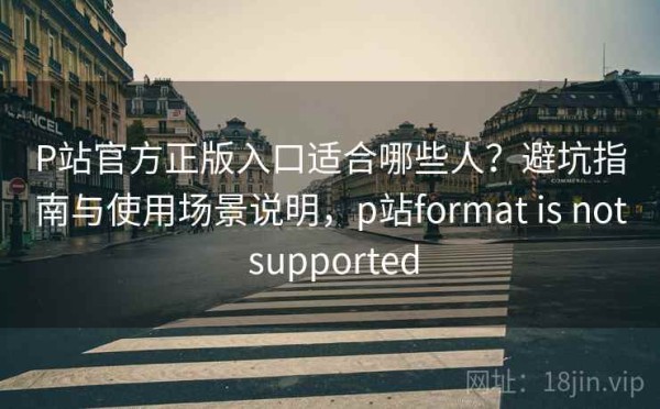 P站官方正版入口适合哪些人？避坑指南与使用场景说明，p站format is not supported