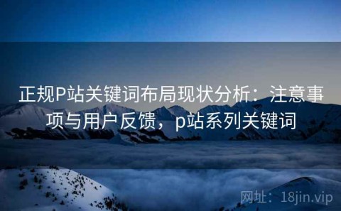 正规P站关键词布局现状分析：注意事项与用户反馈，p站系列关键词