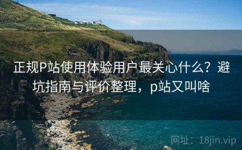 正规P站使用体验用户最关心什么？避坑指南与评价整理，p站又叫啥