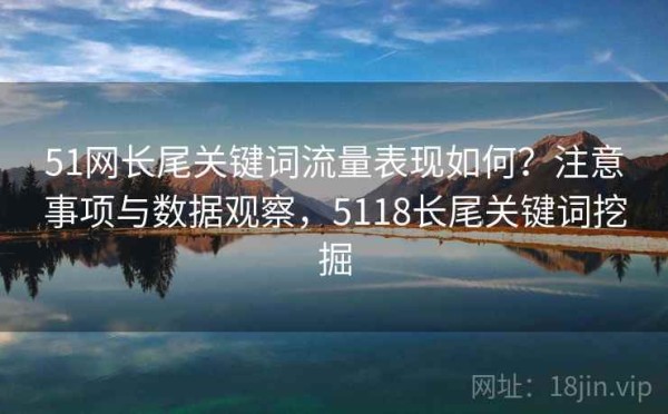 51网长尾关键词流量表现如何？注意事项与数据观察，5118长尾关键词挖掘