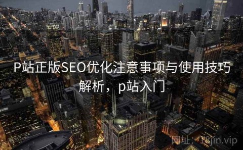 P站正版SEO优化注意事项与使用技巧解析，p站入门