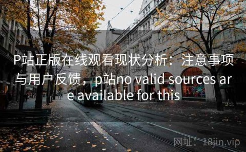 P站正版在线观看现状分析：注意事项与用户反馈，p站no valid sources are available for this