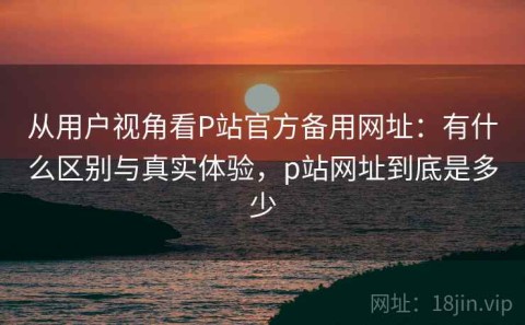 从用户视角看P站官方备用网址：有什么区别与真实体验，p站网址到底是多少