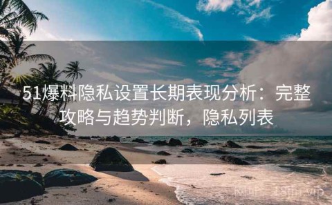 51爆料隐私设置长期表现分析：完整攻略与趋势判断，隐私列表