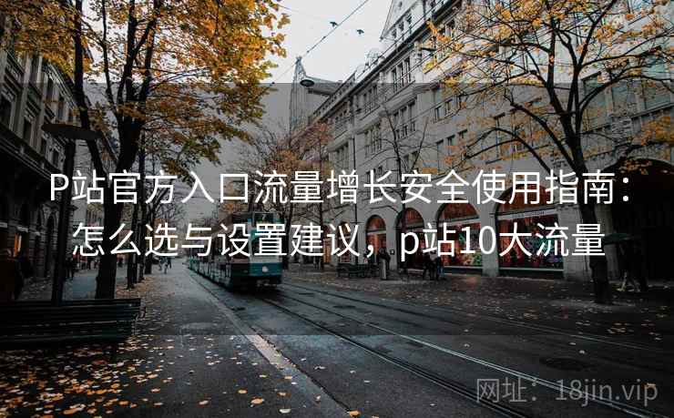 P站官方入口流量增长安全使用指南：怎么选与设置建议，p站10大流量