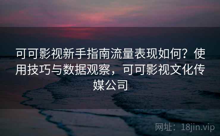 可可影视新手指南流量表现如何？使用技巧与数据观察，可可影视文化传媒公司