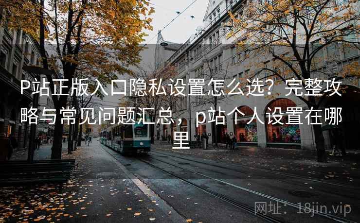 P站正版入口隐私设置怎么选？完整攻略与常见问题汇总，p站个人设置在哪里