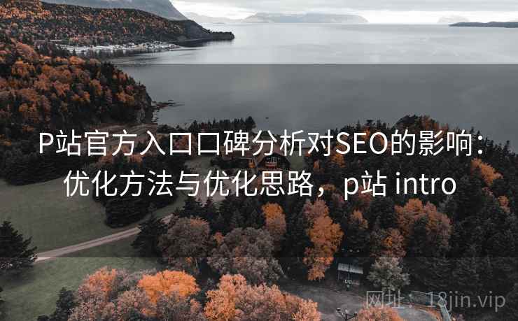 P站官方入口口碑分析对SEO的影响：优化方法与优化思路，p站 intro