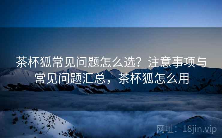 茶杯狐常见问题怎么选？注意事项与常见问题汇总，茶杯狐怎么用