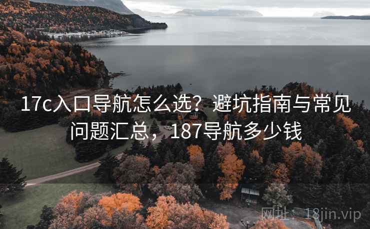 17c入口导航怎么选？避坑指南与常见问题汇总，187导航多少钱