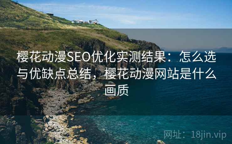 樱花动漫SEO优化实测结果：怎么选与优缺点总结，樱花动漫网站是什么画质