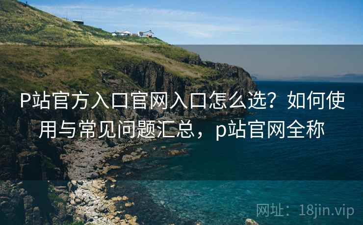 P站官方入口官网入口怎么选？如何使用与常见问题汇总，p站官网全称