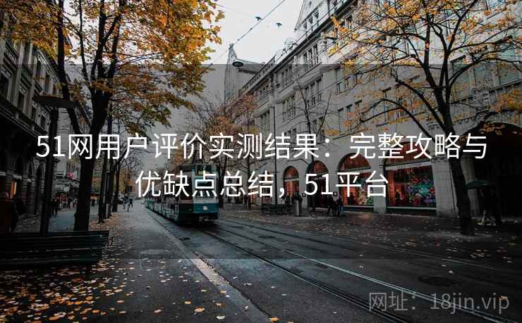 51网用户评价实测结果：完整攻略与优缺点总结，51平台