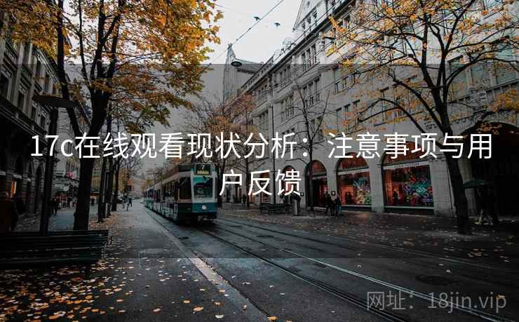 17c在线观看现状分析：注意事项与用户反馈