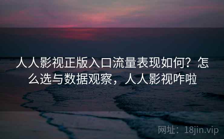 人人影视正版入口流量表现如何？怎么选与数据观察，人人影视咋啦