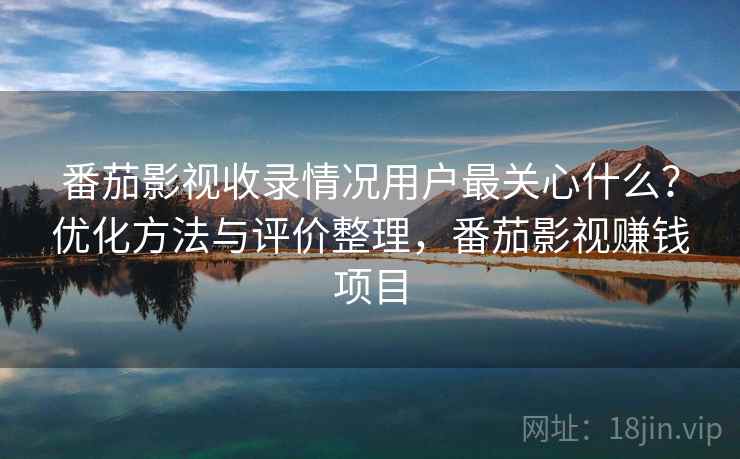 番茄影视收录情况用户最关心什么？优化方法与评价整理，番茄影视赚钱项目