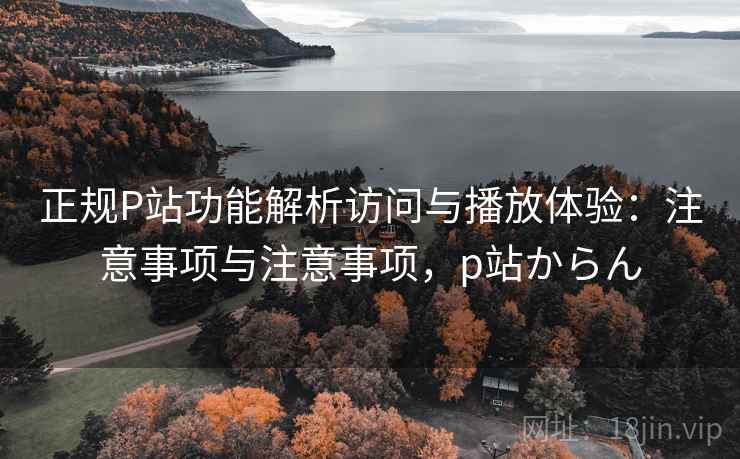 正规P站功能解析访问与播放体验：注意事项与注意事项，p站からん
