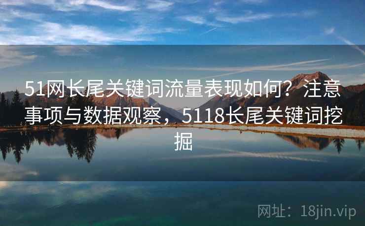 51网长尾关键词流量表现如何？注意事项与数据观察，5118长尾关键词挖掘