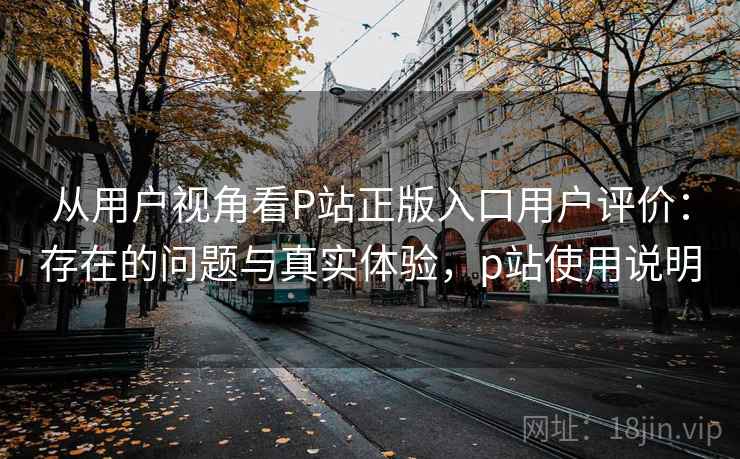 从用户视角看P站正版入口用户评价：存在的问题与真实体验，p站使用说明