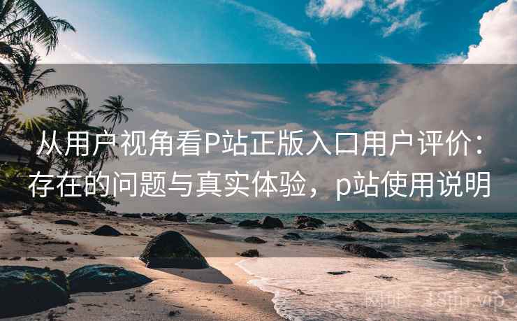 从用户视角看P站正版入口用户评价：存在的问题与真实体验，p站使用说明