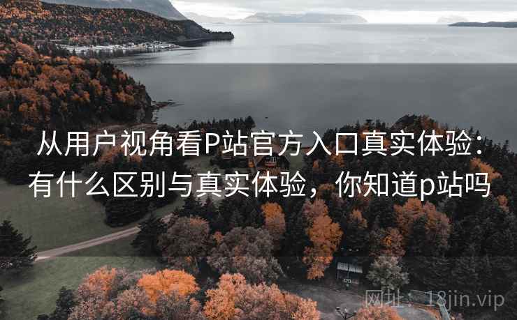 从用户视角看P站官方入口真实体验：有什么区别与真实体验，你知道p站吗