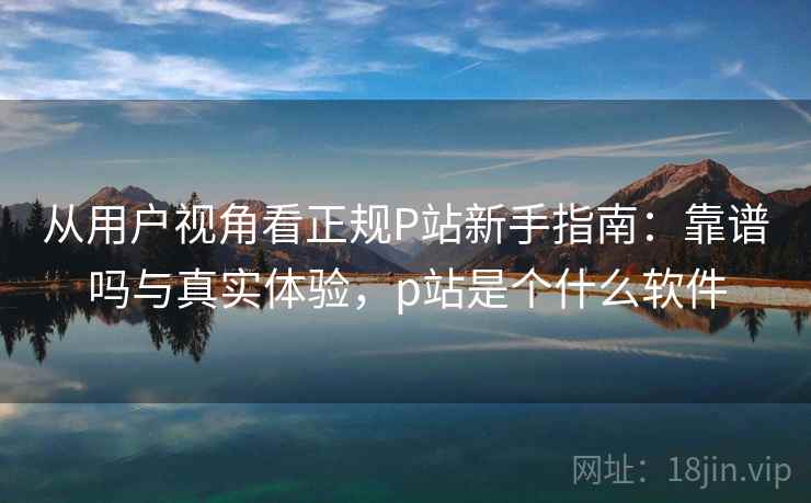 从用户视角看正规P站新手指南：靠谱吗与真实体验，p站是个什么软件