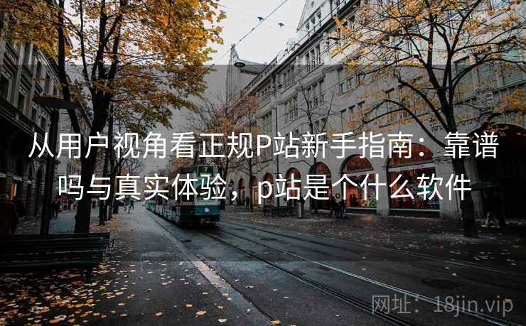从用户视角看正规P站新手指南：靠谱吗与真实体验，p站是个什么软件