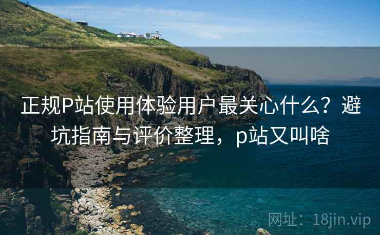 正规P站使用体验用户最关心什么？避坑指南与评价整理，p站又叫啥