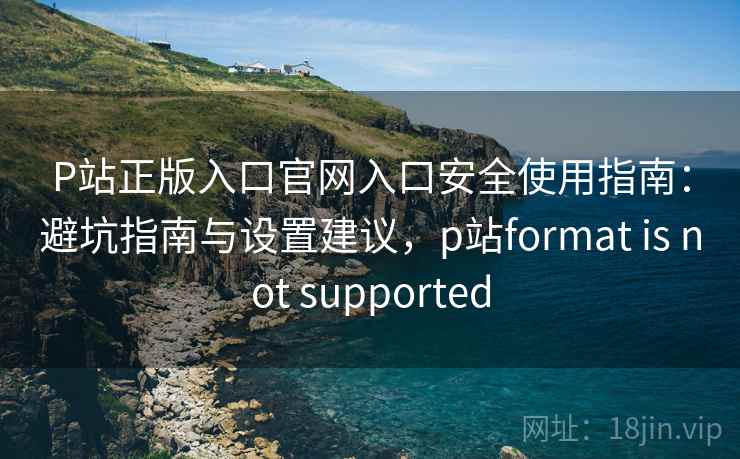 P站正版入口官网入口安全使用指南：避坑指南与设置建议，p站format is not supported