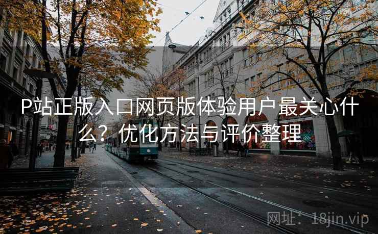 P站正版入口网页版体验用户最关心什么？优化方法与评价整理